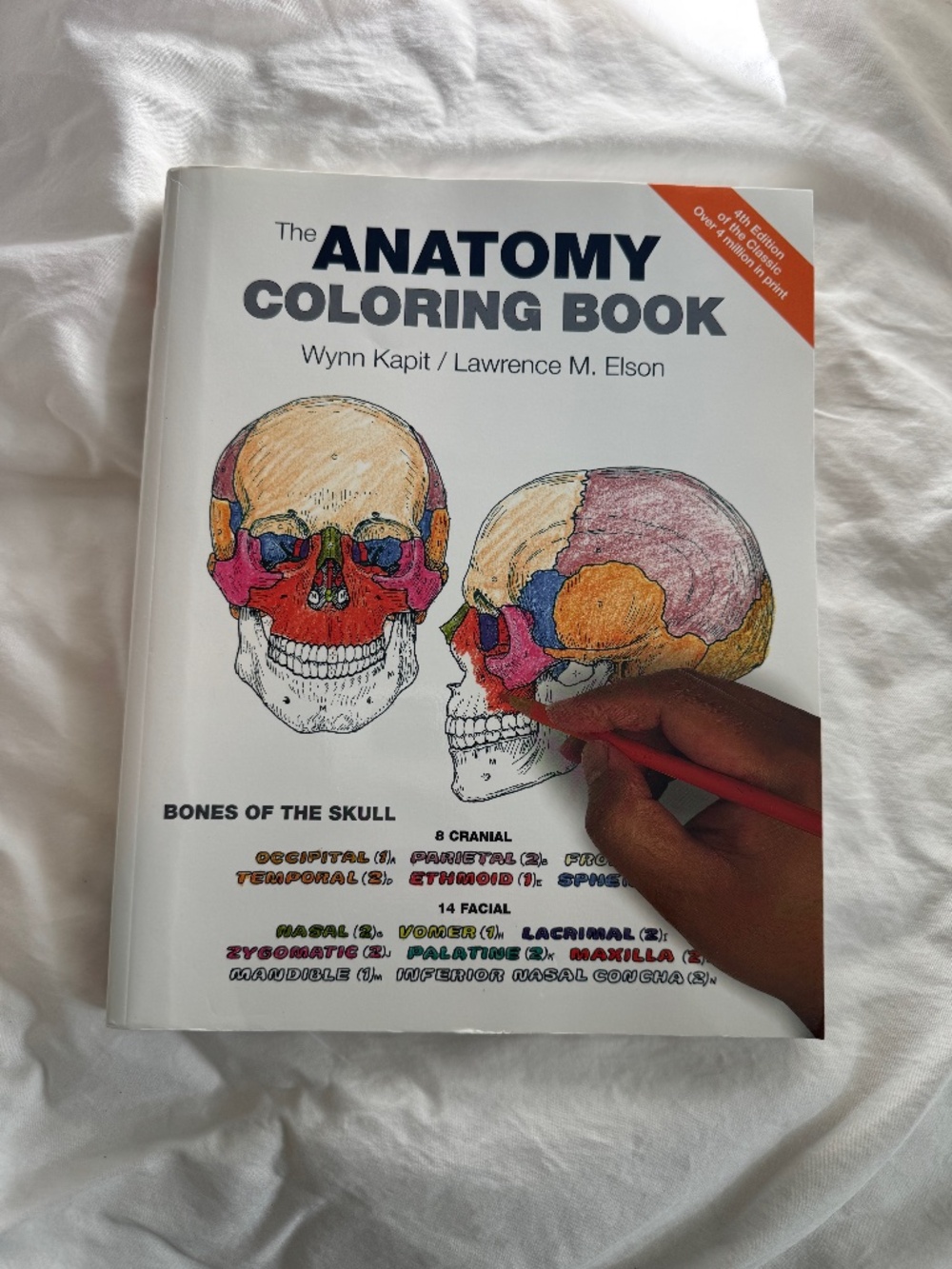 THE ANATOMY COLORING BOOK & HUMAN ANATOMY COLORING BOOK SET